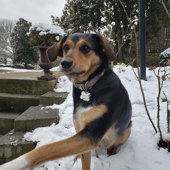 Meet your Posher, Ann - Picture 3 of 4